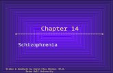 Chapter 14 Schizophrenia Slides & Handouts by Karen Clay Rhines, Ph.D. Seton Hall University.