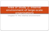 Chapter 4: The internal environment Area of Study 2: Internal environment of large-scale organisations.