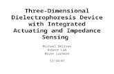 Three-Dimensional Dielectrophoresis Device with Integrated Actuating and Impedance Sensing Michael Beltran Robert Lam Bryan Lochman 12/14/07.