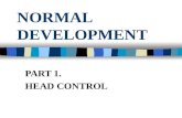 NORMAL DEVELOPMENT PART 1. HEAD CONTROL CONSIDERATION POSTURAL CONTROL POSTURAL ORIENTATION INTERNAL REPRESENTATION BODY CONCEPT(Awareness, Schema, Image.