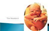 The Newborn. Leifer, G. (2011) Introduction to maternity and pediatric nursing. (6 th edition. Philadelphia: Saunders. Ministry of Health Tamariki Ora.