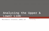 Analysing the Upper & Lower Limb Movement Studies 2009-10 Mvt Studies 2009-10.