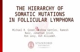 T HE H IERARCHY OF S OMATIC M UTATIONS IN F OLLICULAR L YMPHOMA Michael R. Green, Andrew Gentles, Ramesh Nair, Jonathan Irish, Ron Levy, Ash Alizadeh.