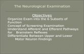 Objectives  Organize Exam into the 6 Subsets of Function  Concept of Screening Examination  Understand Afferent and Efferent Pathways for Brainstem.