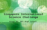 Singapore International Science Challenge Group D1: NUS High School.