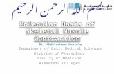 Molecular Basis of Skeletal Muscle Contraction Dr. Abdelrahman Mustafa Department of Basic Medical Sciences Division of Physiology Faculty of Medicine.