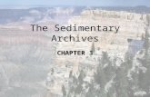 The Sedimentary Archives CHAPTER 3. Controls on sedimentary rock features Tectonic setting Physical, chemical, and biological processes in the depositional.