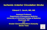 Ischemic Anterior Circulation Stroke Edward C. Jauch, MD, MS Assistant Professor Department of Emergency Medicine University of Cincinnati College of Medicine.