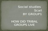 Social studies Scail BY GROUP 1. ARVINDH-(LEADER AND FACILITATOR) JOEL(FACILITATOR) HUSSAIN(FACILITATOR) AADITYA(FACILITATOR) AASHISH(SUMMARIZER) FINCE(SUMMARIZER)