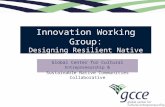 Innovation Working Group: Designing Resilient Native Communities.