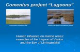 1 Human influence on marine areas: examples of the Lagoon of Venice and the Bay of Liminganlahti wetland areas: Liminganlahti Baywetland areas: Barene.