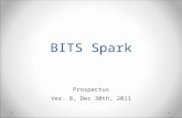 BITS Spark Prospectus Ver. 8, Dec 30th, 2011. Background  BITSian entrepreneurs have been tremendously successful. BITS was ranked as a top school to.