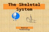 The Skeletal System Medical Terminology. Key System Terminology Bone -------------------------- oste/o Bone marrow ---------------myel/o »Note myel/o.