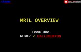 MRIL OVERVIEW Team One NUMAR / HALLIBURTON. Crucial Formation Evaluation Questions What is the storage capacity (  e and  t ) in a Complex Lithology.