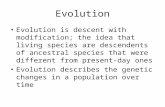 Evolution Evolution is descent with modification; the idea that living species are descendents of ancestral species that were different from present-day.