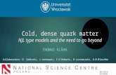 Cold, dense quark matter NJL type models and the need to go beyond THOMAS KL ÄHN Collaborators: D. Zablocki, J.Jankowski, C.D.Roberts, R.Lastowiecki, D.B.Blaschke.