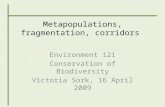Metapopulations, fragmentation, corridors Environment 121 Conservation of Biodiversity Victoria Sork, 16 April 2009.