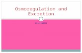 CH 44 NOTES Osmoregulation and Excretion. Osmoregulation Process by which animals control solute concentrations and balance water gain and loss  Necessary.
