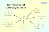 1 Derivatives of Carboxylic Acid acid chloride acid anhydride ester amide nitrile carboxylate.