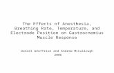 The Effects of Anesthesia, Breathing Rate, Temperature, and Electrode Position on Gastrocnemius Muscle Response Daniel Geoffrion and Andrew McCullough.