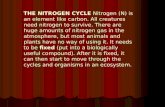 THE NITROGEN CYCLE Nitrogen (N) is an element like carbon. All creatures need nitrogen to survive. There are huge amounts of nitrogen gas in the atmosphere,