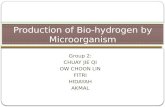 Group 2: CHUAY JIE QI OW CHOON LIN FITRI HIDAYAH AKMAL Production of Bio-hydrogen by Microorganism.