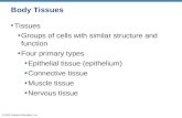 © 2012 Pearson Education, Inc. Body Tissues Tissues Groups of cells with similar structure and function Four primary types Epithelial tissue (epithelium)