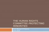 THE HUMAN RIGHTS COMMITTEE PROTECTING MINORITIES Prof. Michael O’Flaherty June 2010.