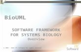 BioUML SOFTWARE FRAMEWORK FOR SYSTEMS BIOLOGY Overview  2004 - 2010 ITC Software All rights reserved.
