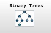 Binary Trees. DCS – SWC 2 Binary Trees Sets and Maps in Java are also available in tree-based implementations A Tree is – in this context – a data structure.