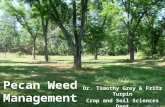 Pecan Weed Management Dr. Timothy Grey & Fritz Turpin Crop and Soil Sciences Dept UGA.