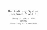 The Auditory System (Lectures 7 and 8) Harry R. Erwin, PhD COMM2E University of Sunderland.