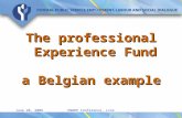 June 20, 2006ENWHP Conference, Linz The professional Experience Fund a Belgian example.