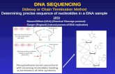 Dideoxy or Chain Termination Method Determining precise sequence of nucleotides in a DNA sample DNA SEQUENCING 1974 Maxam/Gilbert (USA) (Chemical Cleavage.
