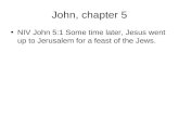 John, chapter 5 NIV John 5:1 Some time later, Jesus went up to Jerusalem for a feast of the Jews.