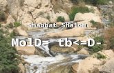 Shabbat Shalom MolD= tb