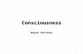 1 Consciousness Wayne Hartman. 2 On Consciousness What is consciousness? –How do we know that we are conscious? Experiencing life from the observer or.