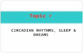 Topic 7 CIRCADIAN RHYTHMS, SLEEP & DREAMS. Circadian rhythm.