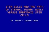STEM CELLS AND THE MYTH OF ETERNAL YOUTH: ADULT VERSUS EMBRYONIC STEM CELLS Dr. Marie - Louise Labat.