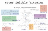 Water Soluble Vitamins By Jennifer Turley and Joan Thompson © 2013 Cengage.