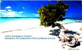 Objectives of unit 4 To contextualize Sociology by: 1.Introducing the concepts of islands, islandness and island studies 2.Introducing the Caribbean as.