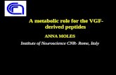 ANNA MOLES Institute of Neuroscience CNR- Rome, Italy A metabolic role for the VGF- derived peptides.