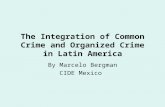 The Integration of Common Crime and Organized Crime in Latin America By Marcelo Bergman CIDE Mexico.