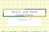 Wrist and Hand Conditions Chapter 13. Wrist Articulations Radiocarpal: Radius with the Scaphoid, Lunate, Triquetrum. Intercarpal Distal Radioulnar Triangular.