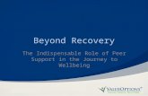 Beyond Recovery The Indispensable Role of Peer Support in the Journey to Wellbeing.