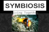 Living Together. Sym: From the greek/latin meaning “with” Bio: from the greek/latin meaning “to live” or “living” Symbiosis: A relationship where two.