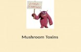 Mushroom Toxins. A. Life-Threatening Poisons 1. Protoplasmic poisons –  life-threatening poisons that result in generalized destruction of cells, followed.