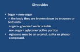 Glycosides Sugar + non-sugar In the body they are broken down by enzymes or acids into: sugars= glycone/ water soluble non sugar= aglycone/ active portion.