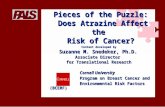 Content developed by Suzanne M. Snedeker, Ph.D. Associate Director for Translational Research Cornell University Program on Breast Cancer and Environmental.