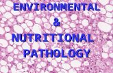 ENVIRONMENTAL&NUTRITIONALPATHOLOGY. Environmental and Nutritional Pathology Environment and Disease Environment and Disease Common Exposures Common Exposures.
